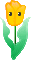 bd_tulip4