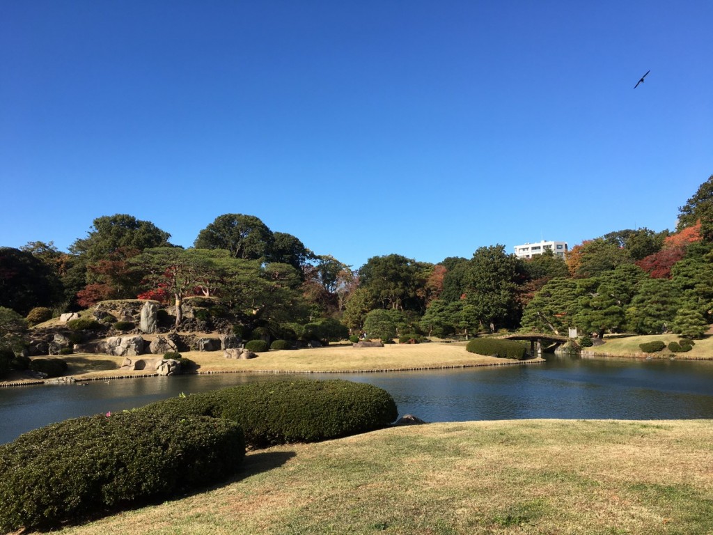 20191120六義園_191122_0033