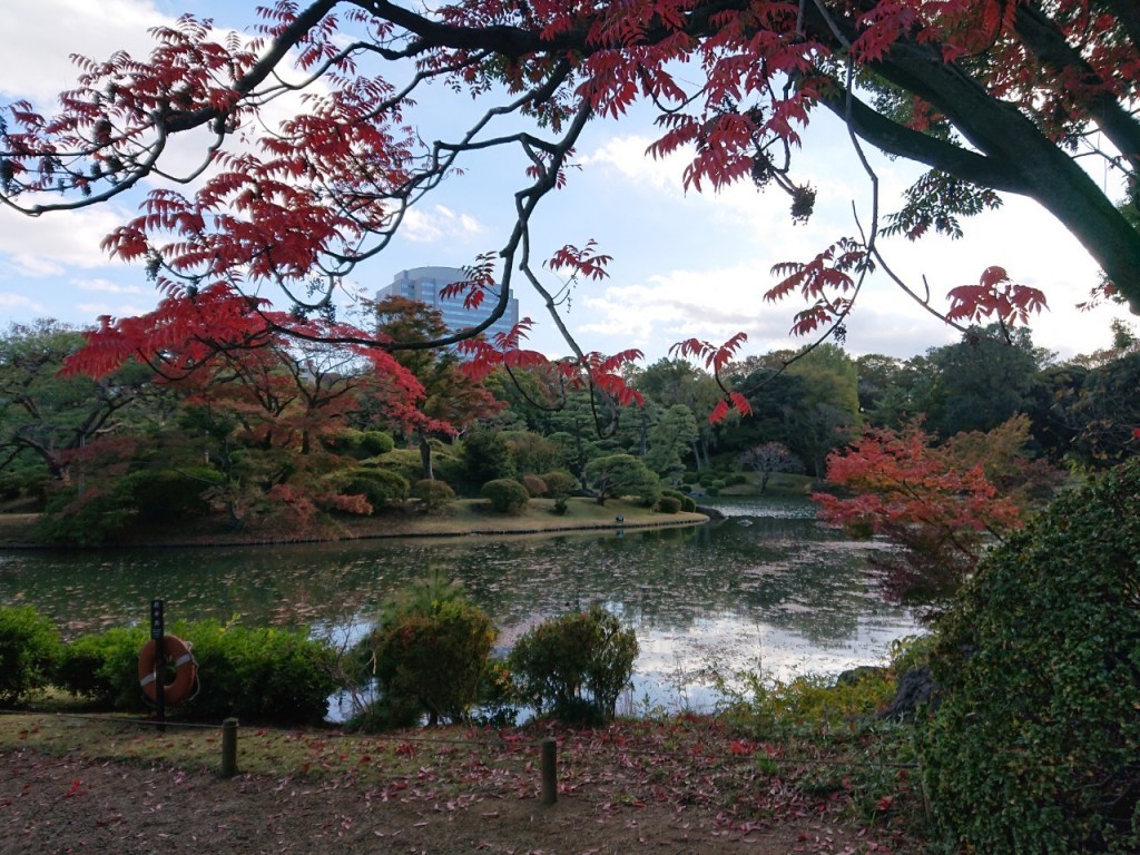 20191120六義園_191121_0014