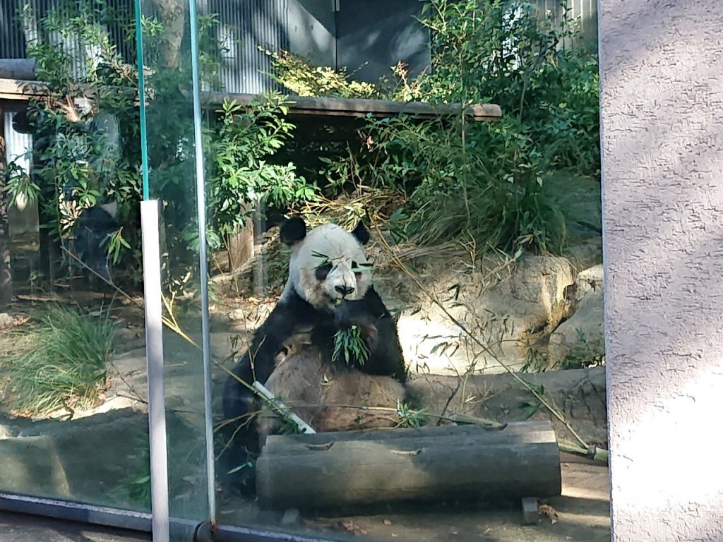 20191120上野動物園_191121_0062