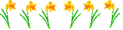 daffodiles