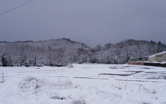 ２０１７年１月２３日　福井の冬景色-1