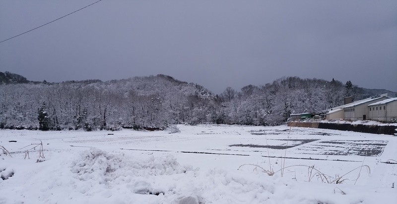 ２０１７年１月２３日　福井の冬景色-1
