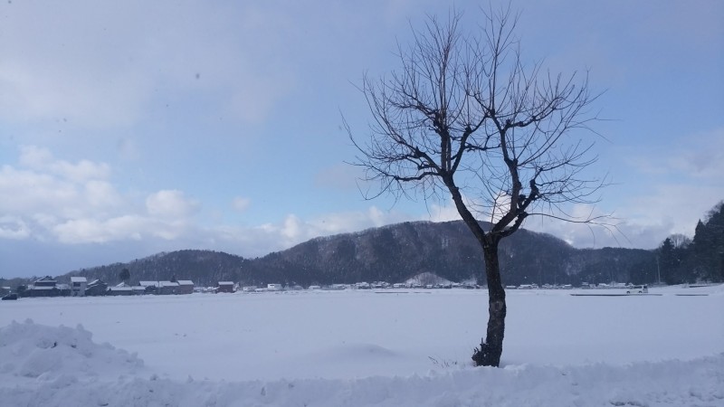 福井の雪景色