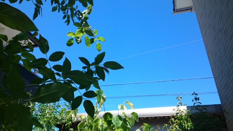 2018年7月2日