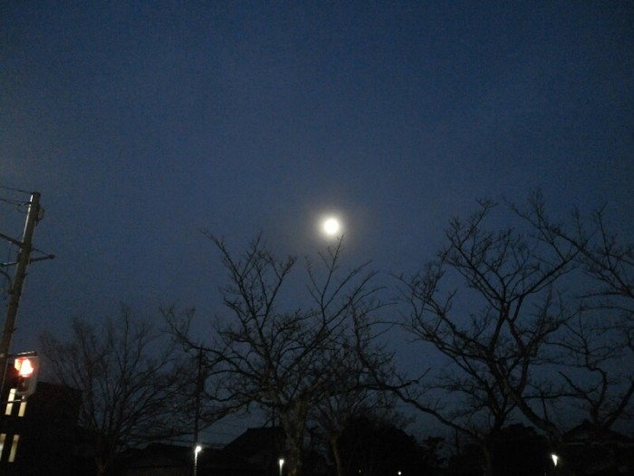 有明の月