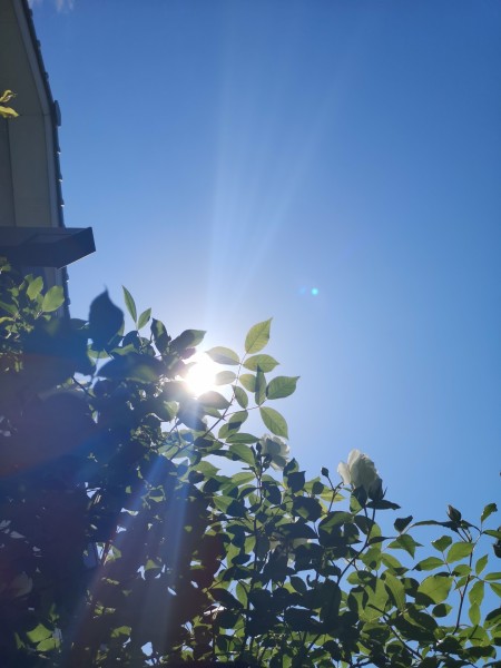 五月の朝の青空