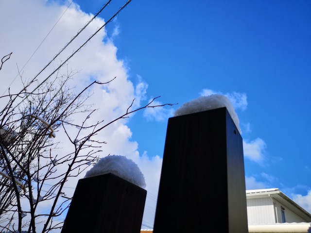雪の綿帽子