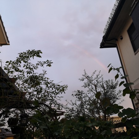 庭から虹を見た