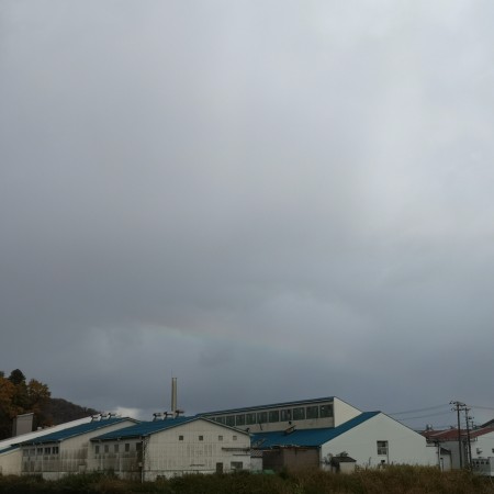 今朝の虹