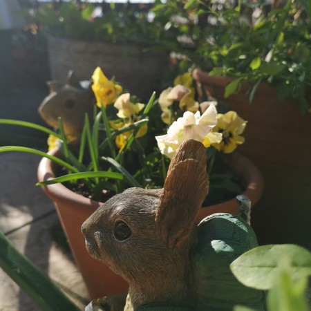 ウサギのオブジェと寄せ植え鉢