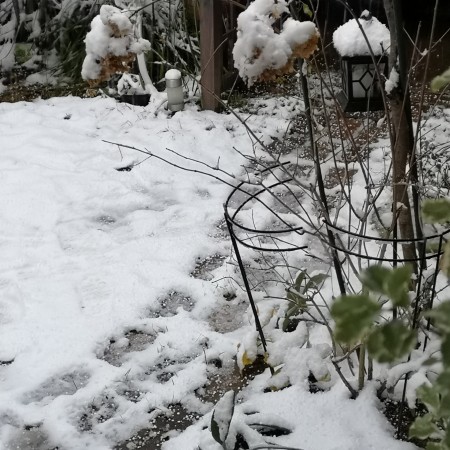 庭は雪景色