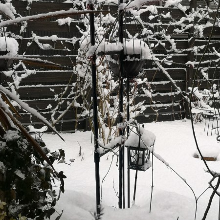 雪の庭