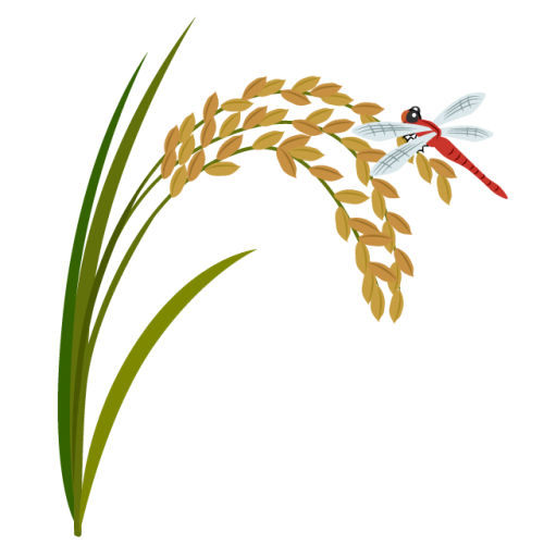 稲穂と赤トンボ　イラスト