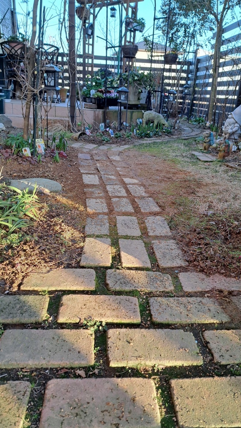 庭の小道改造