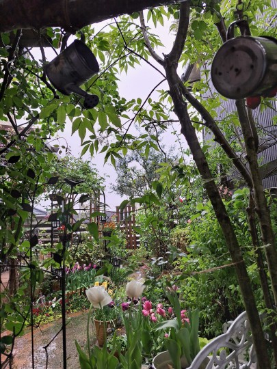 ４月の雨の庭