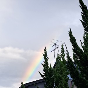 庭から愛でた虹