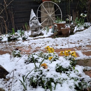 なごり淡雪の庭/３月