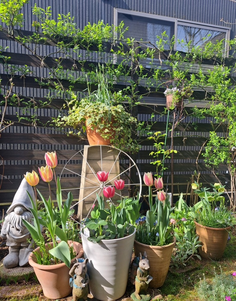 ４月の庭