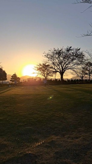 西山公園/夕陽/赤トンボ