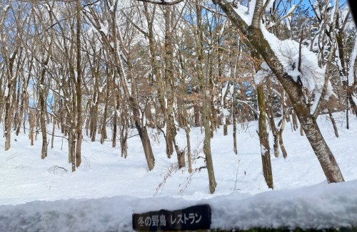 福井県自然保護センター/野鳥のレストラン