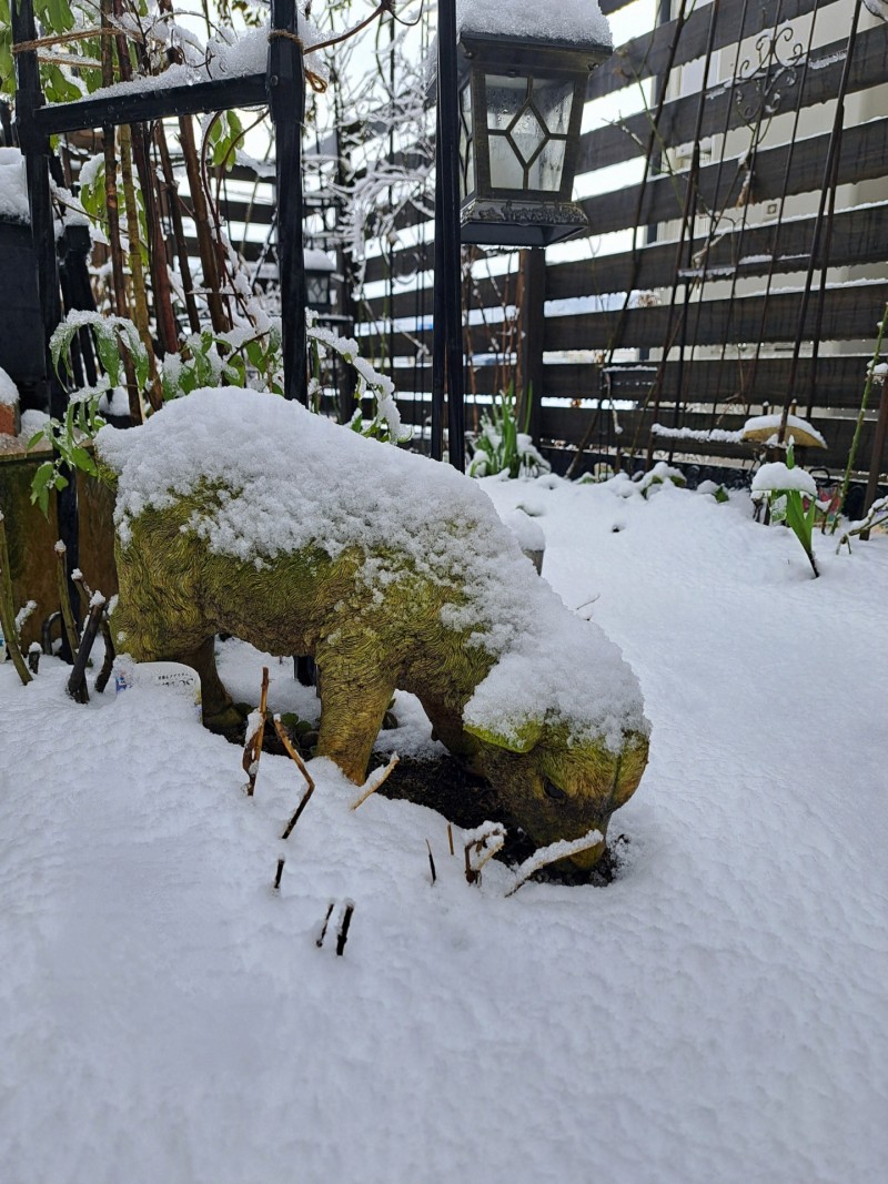 庭の雪景色/ガーデンオブジェ・羊