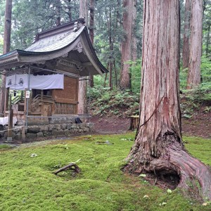 平泉寺白山神社