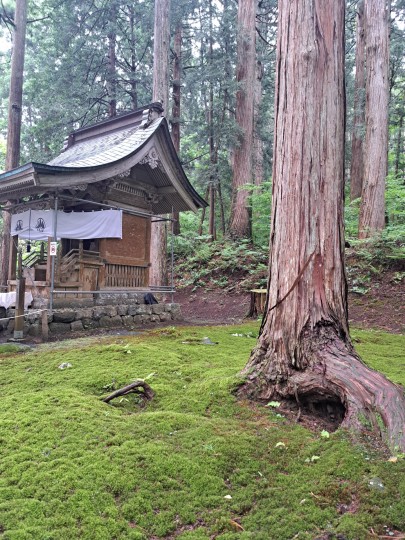 平泉寺白山神社