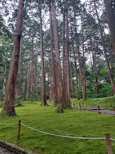 平泉寺白山神社