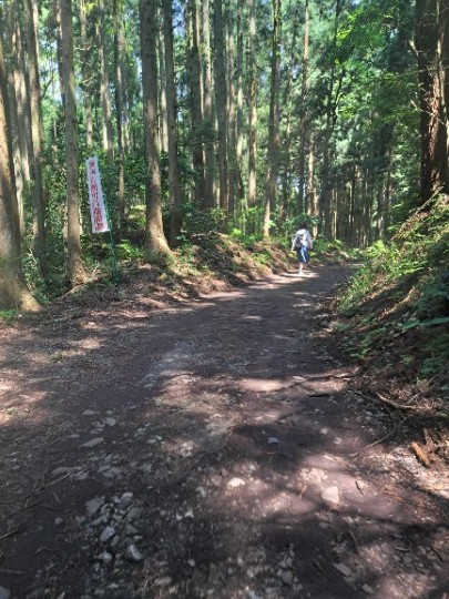 補陀洛山 畝畦寺（ふだらくさん うねでら）