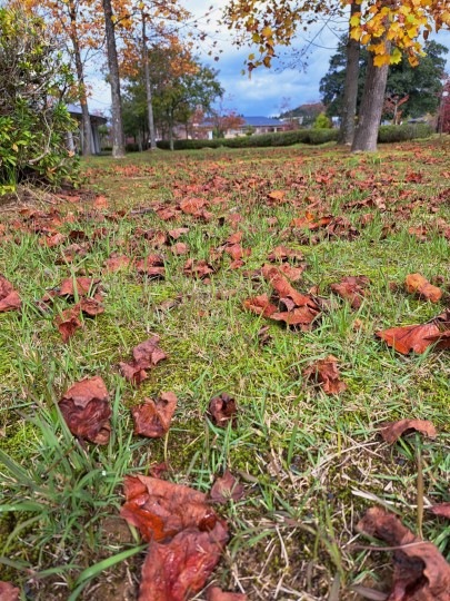 越前陶芸村の紅葉