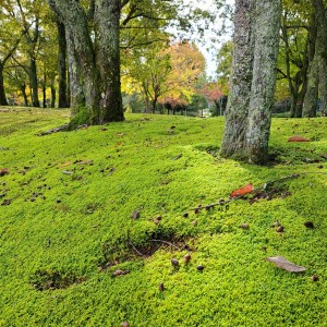 越前陶芸村公園