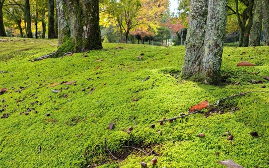越前陶芸村公園
