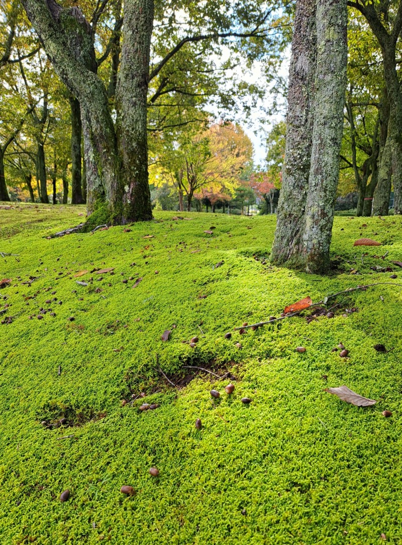 越前陶芸村公園
