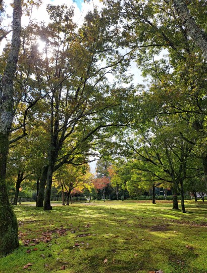 越前陶芸村公園