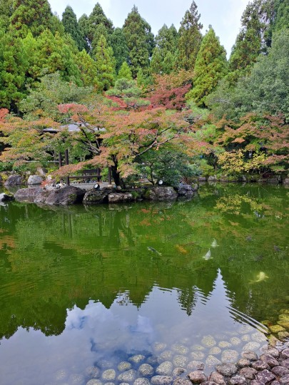 越前陶芸村/福井県陶芸館の日本庭園「幽石庭」