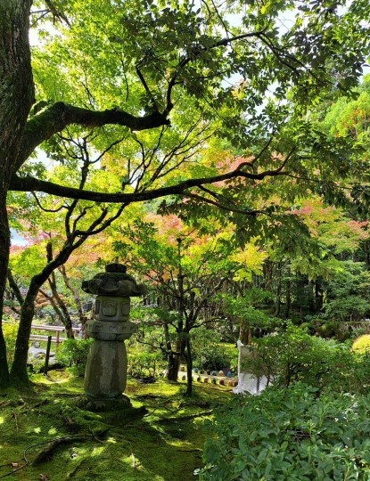 福井県陶芸館の日本庭園「幽石庭」