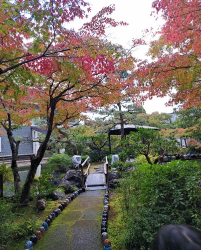 福井県陶芸館の日本庭園「幽石庭」