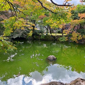 福井県陶芸館の日本庭園「幽石庭」