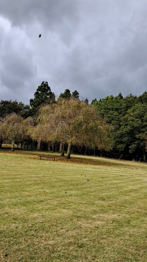 越前陶芸村公園広場