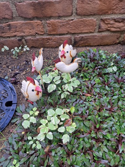 スイ-ツガデ-ンマルフジ