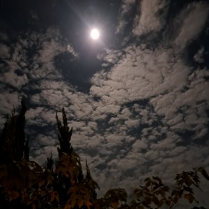 2025年11月　満月