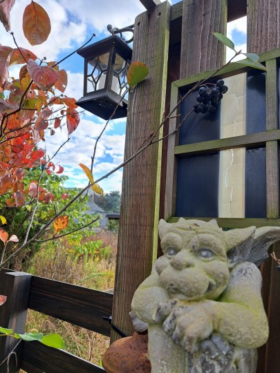 ハナミズキの紅葉