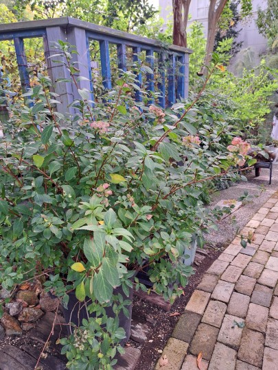 ガーデニングンミュジアム花遊庭