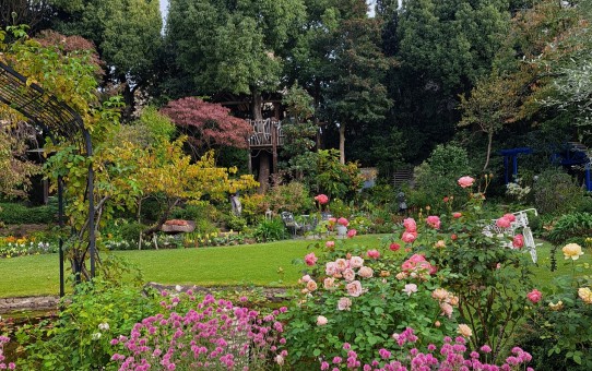 ガーデニングンミュジアム花遊庭