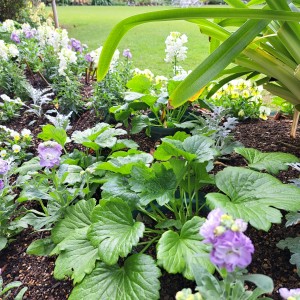 ガーデニングンミュジアム花遊庭