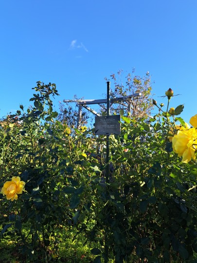 レインボーライン山頂公園パラ園
