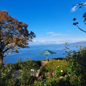 レインボーライン山頂公園バラ園