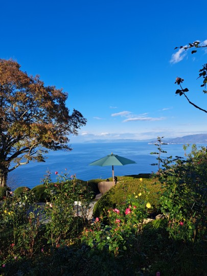 レインボーライン山頂公園バラ園