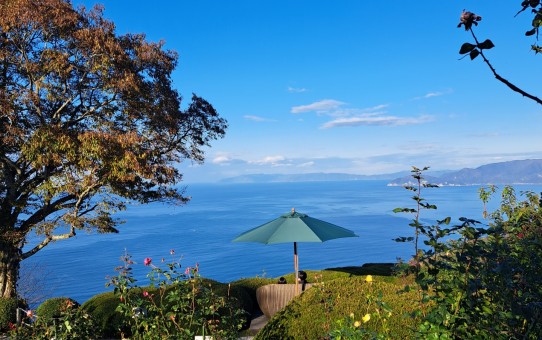 レインボーライン山頂公園バラ園